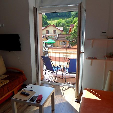 Apartament Kraszewskiego Krynica-Zdrój Zewnętrze zdjęcie