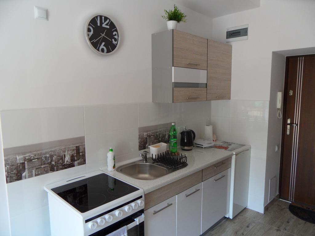 Apartament Kraszewskiego Krynica-Zdrój Zewnętrze zdjęcie